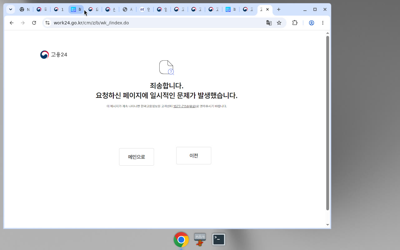 고용24 검색 일시 오류(제도안내 미확보)