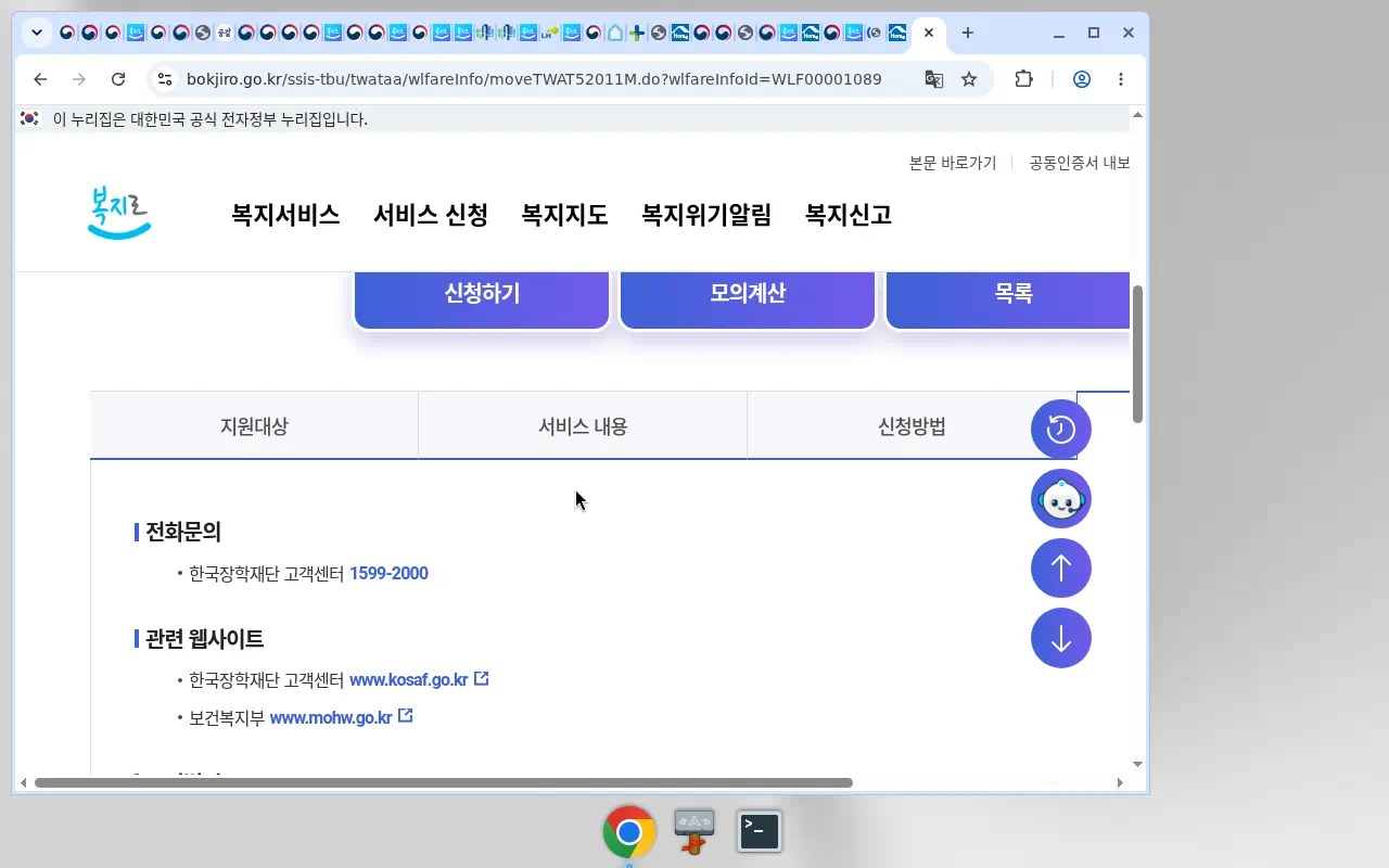 복지로 추가정보 탭