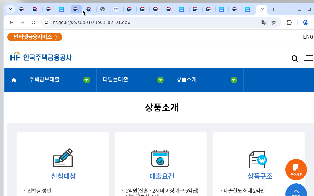 HF 디딤돌대출 상품소개(canonical)