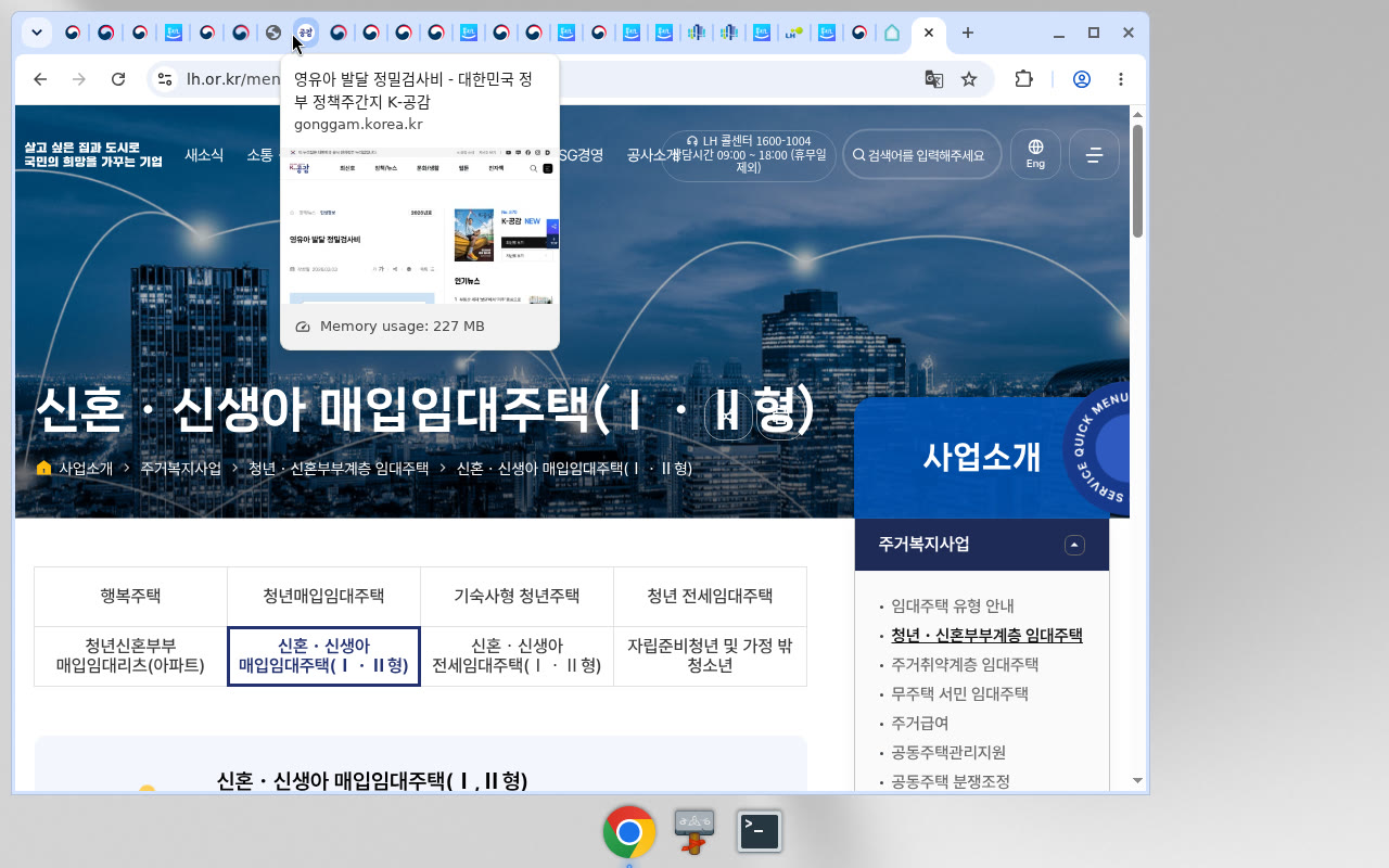 LH 사업소개 개요