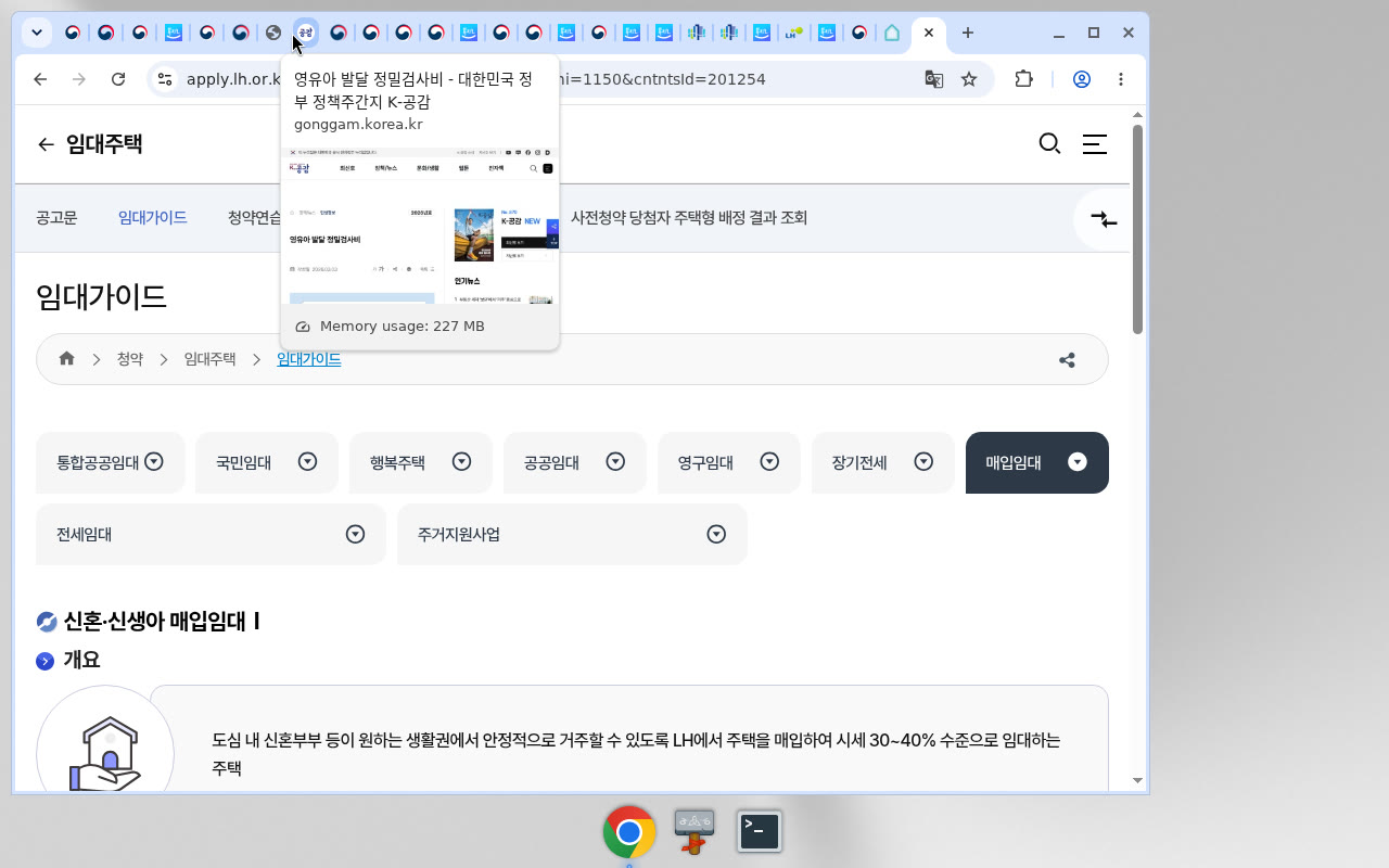 LH청약플러스 신혼·신생아 매입임대Ⅰ