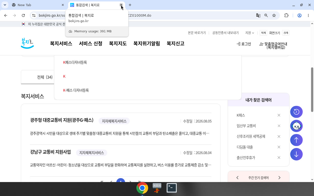 복지로 검색 'K패스' — 광주G-패스·강남구 등 지자체만
