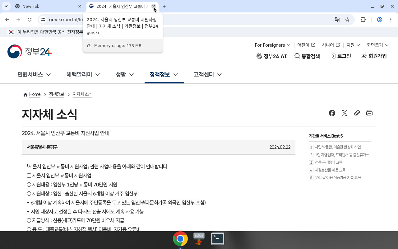 정부24 3787557 — 서울 임산부 교통비 70만(2024 안내)
