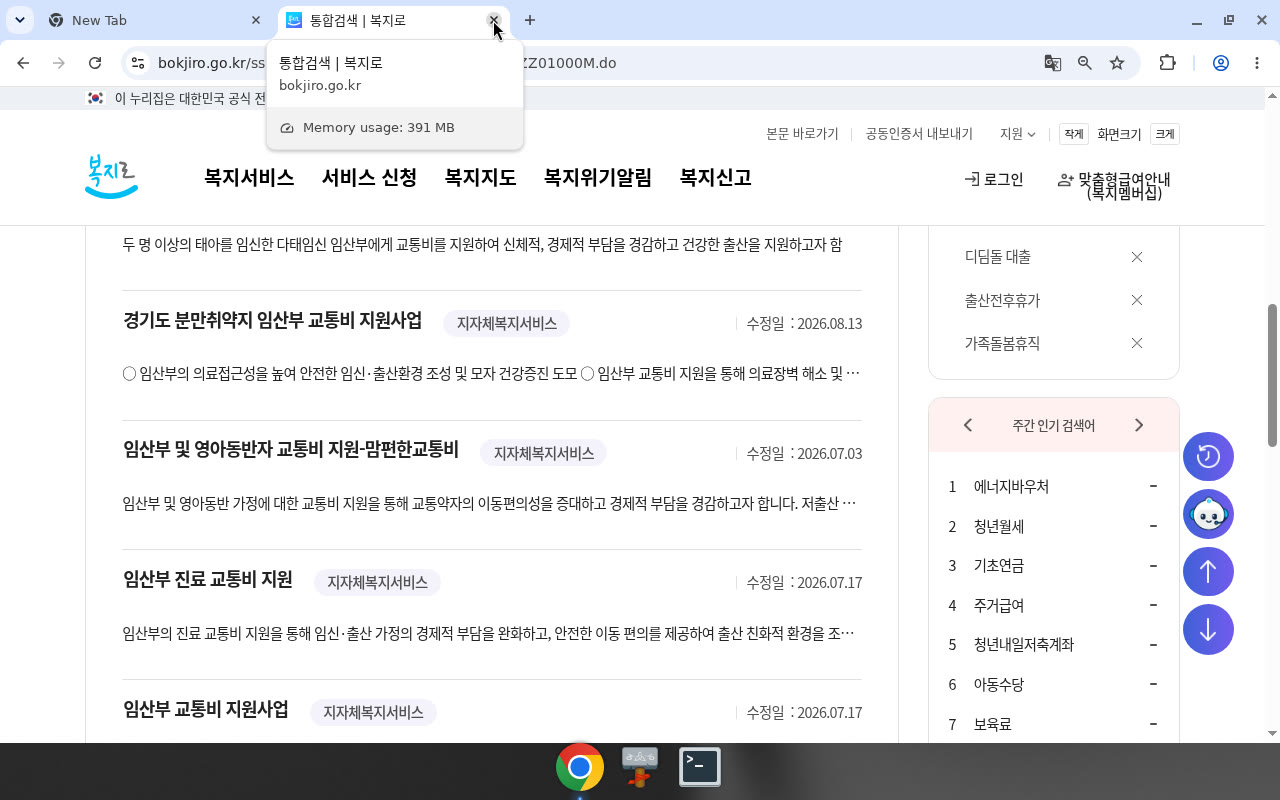 복지로 검색 '임산부 교통비' — 중앙 0건·전부 지자체