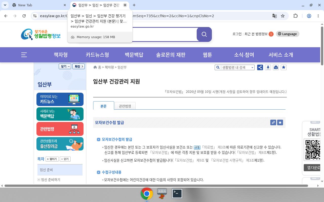 EasyLaw 임산부 건강관리 지원 — 엽산·철분·산전검사만