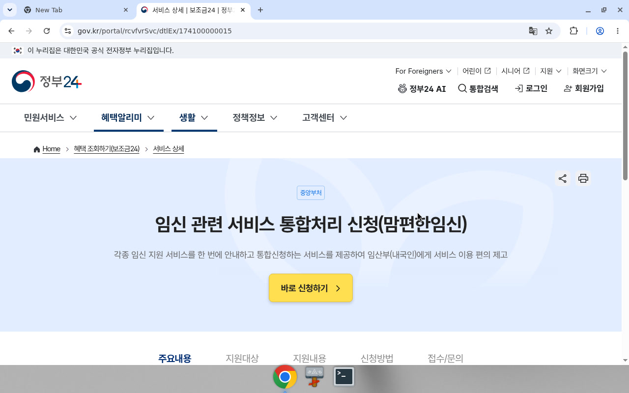 정부24 보조금24 동 서비스 상세
