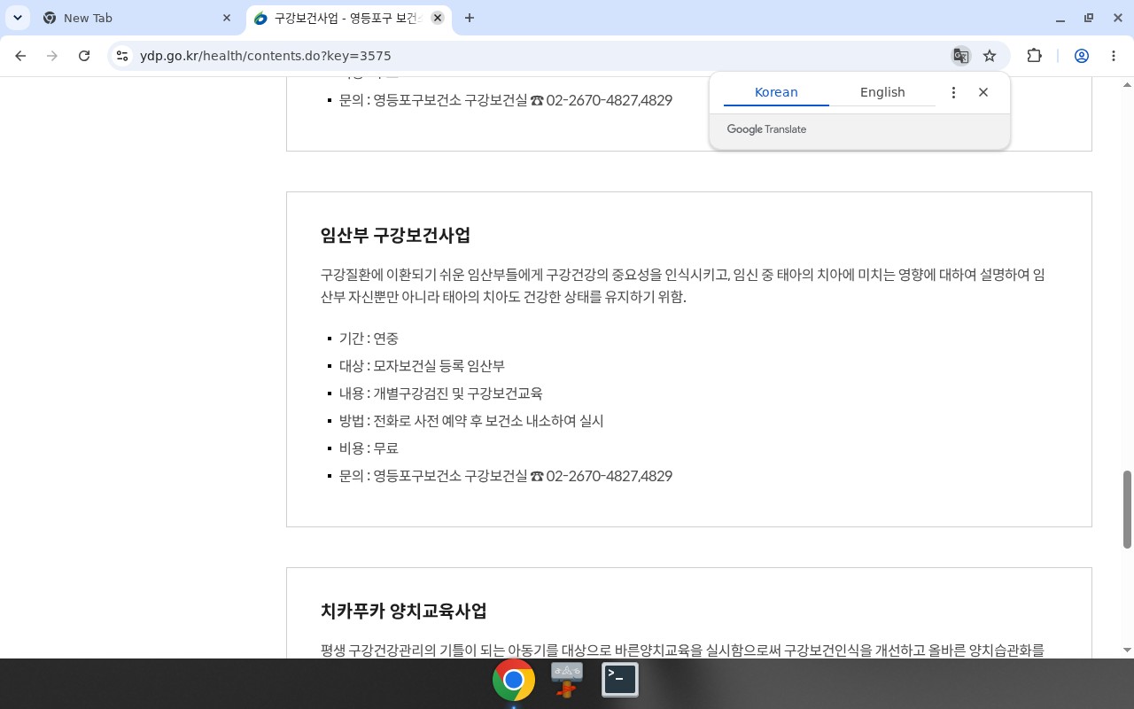 영등포구 보건소 — 임산부 구강보건사업 비용 무료(지자체 사례)