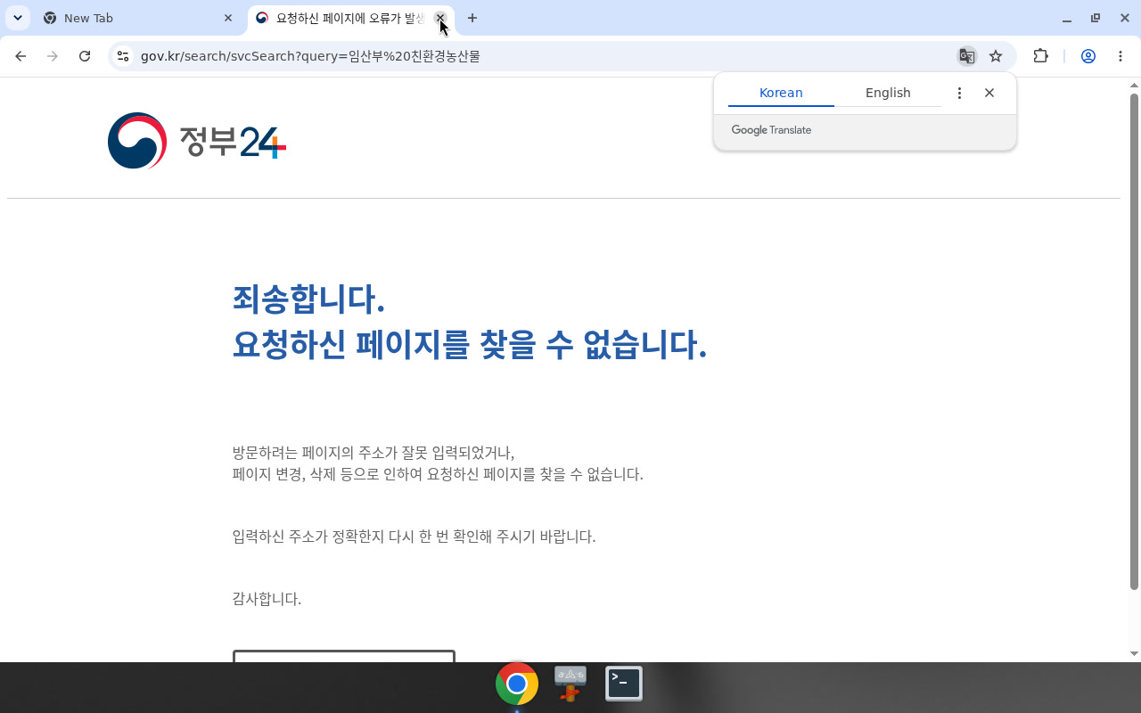 정부24 검색 — 페이지 없음/plus.gov.kr ERR_CONNECTION_CLOSED