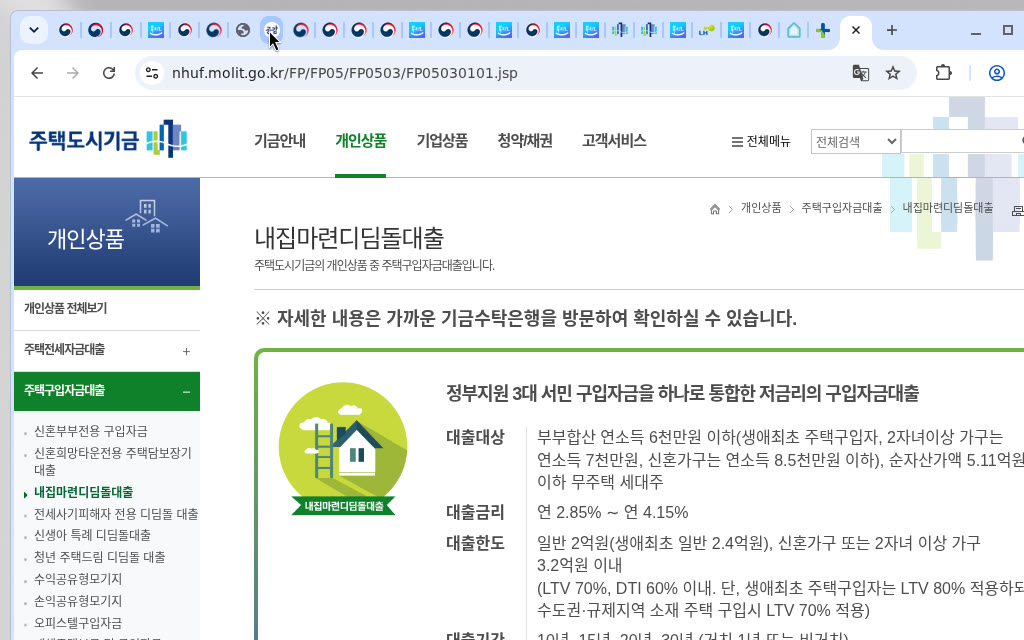 주택도시기금 nhuf 내집마련디딤돌대출 개요(canonical)