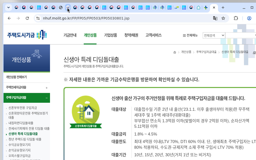 신생아 특례 디딤돌대출(별도 상품·2년 내 출산 요건)