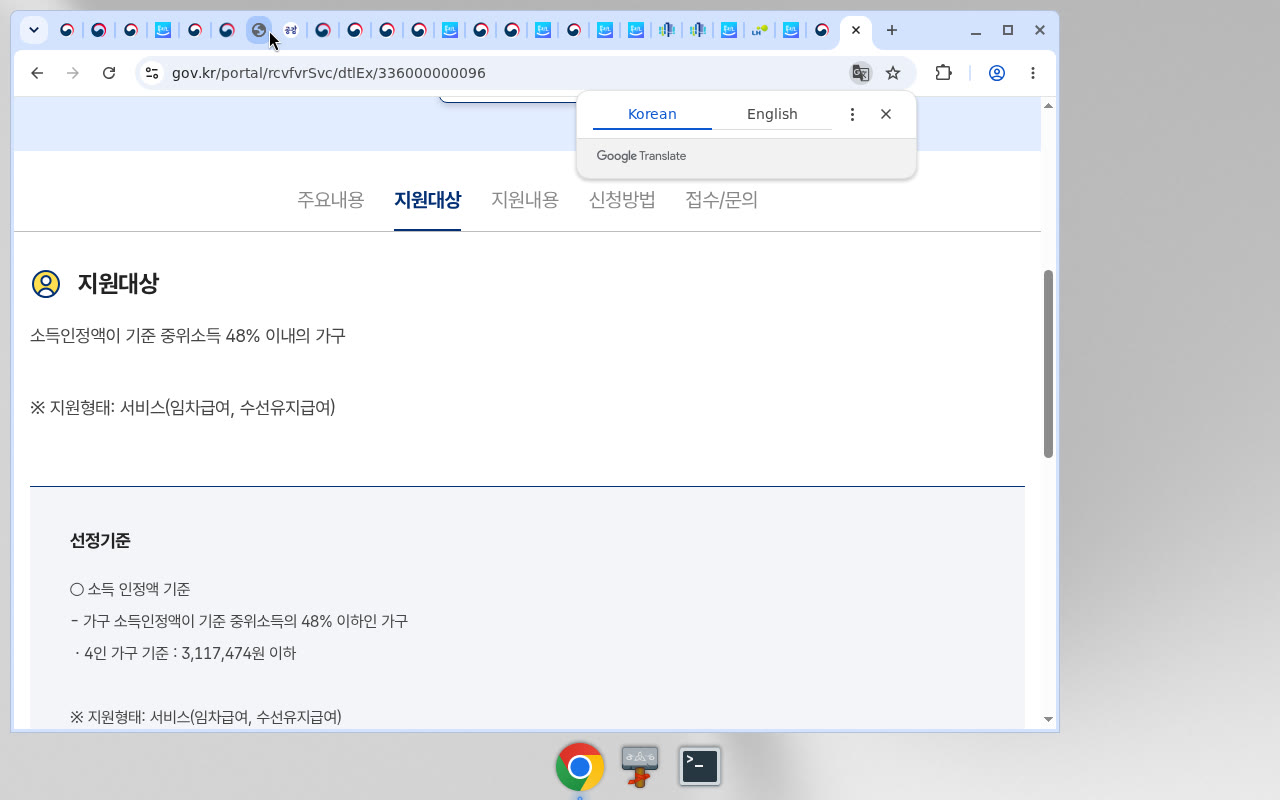 정부24 지원대상