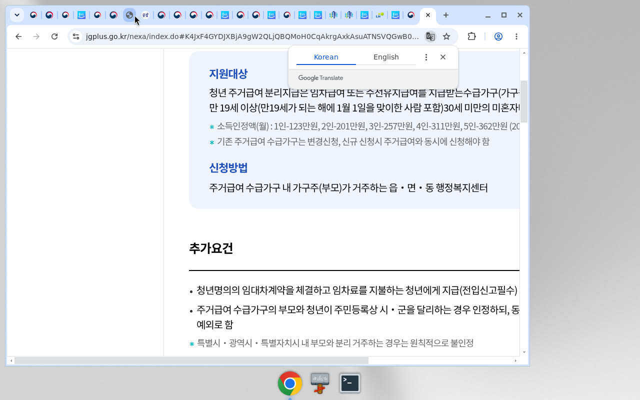 jgplus 청년 추가요건·시군 분리