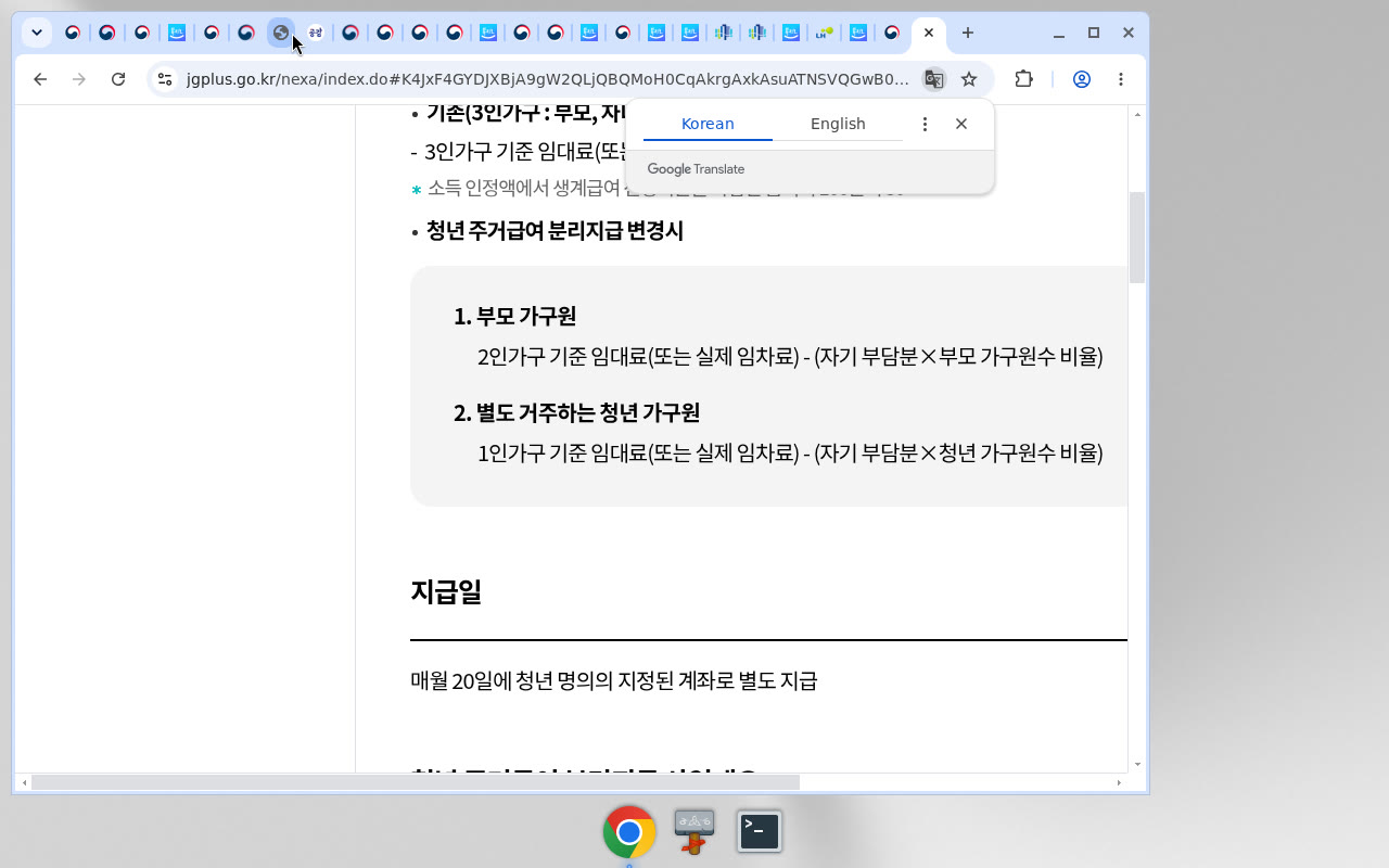 jgplus 산정방법·매월20일 지급
