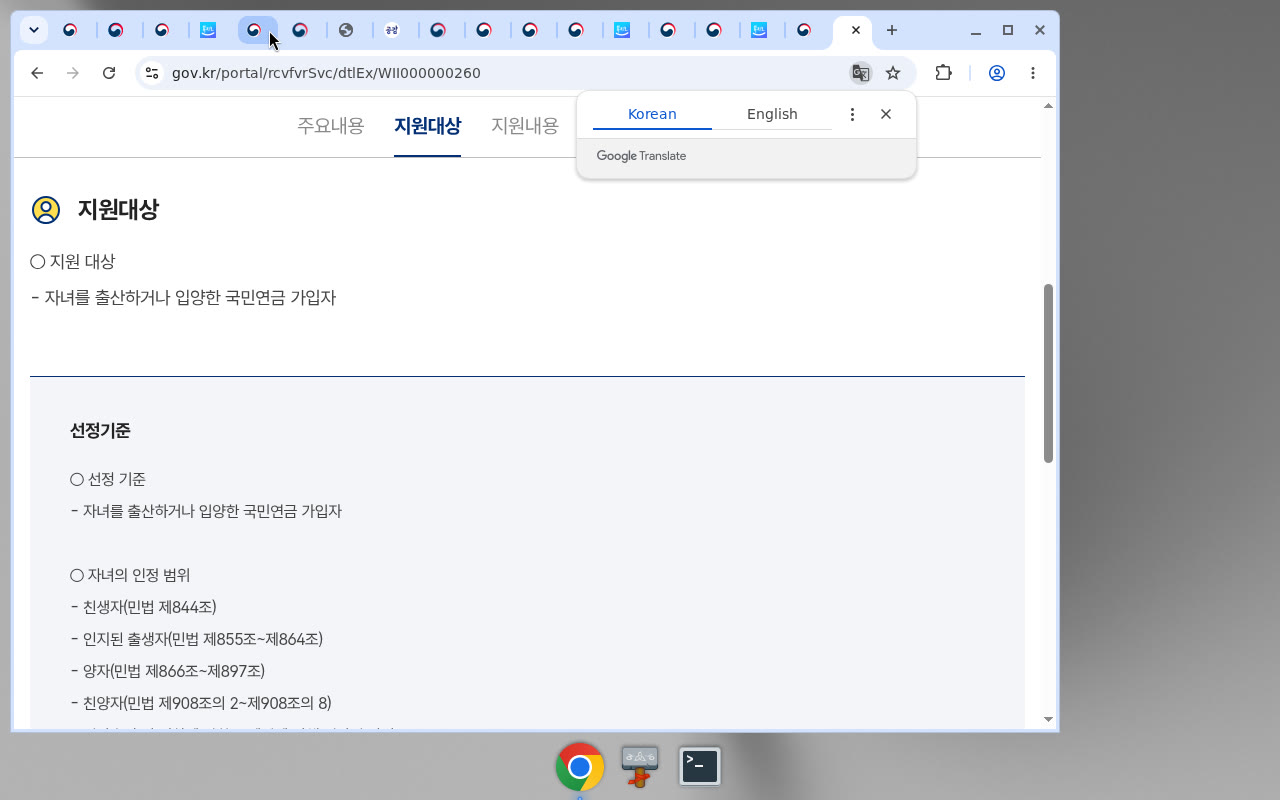 정부24 지원대상(출산·입양 국민연금 가입자)