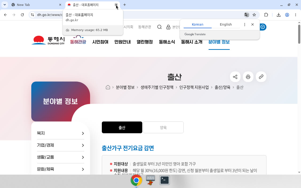 동해시 — 제목·breadcrumb(출산)