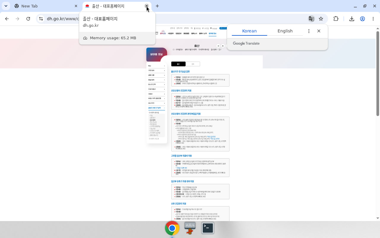 동해시 출산장려금 — full/scroll