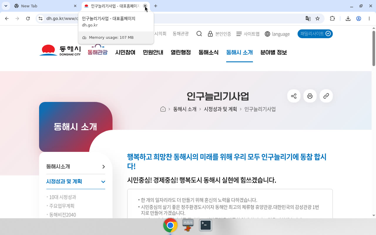 동해시 인구늘리기사업 — 출산장려금 금액표(key=540)