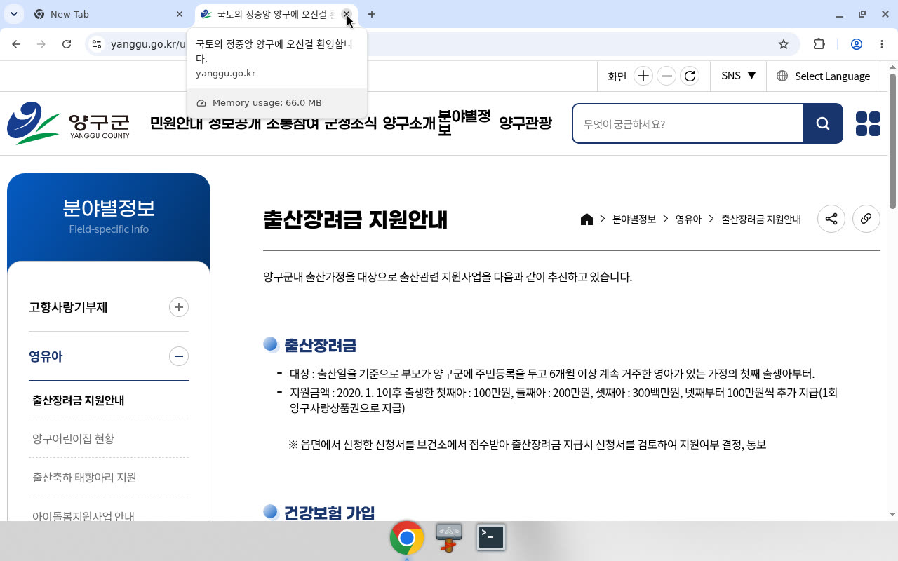 양구군 — 제목·breadcrumb(출산장려금 지원안내)