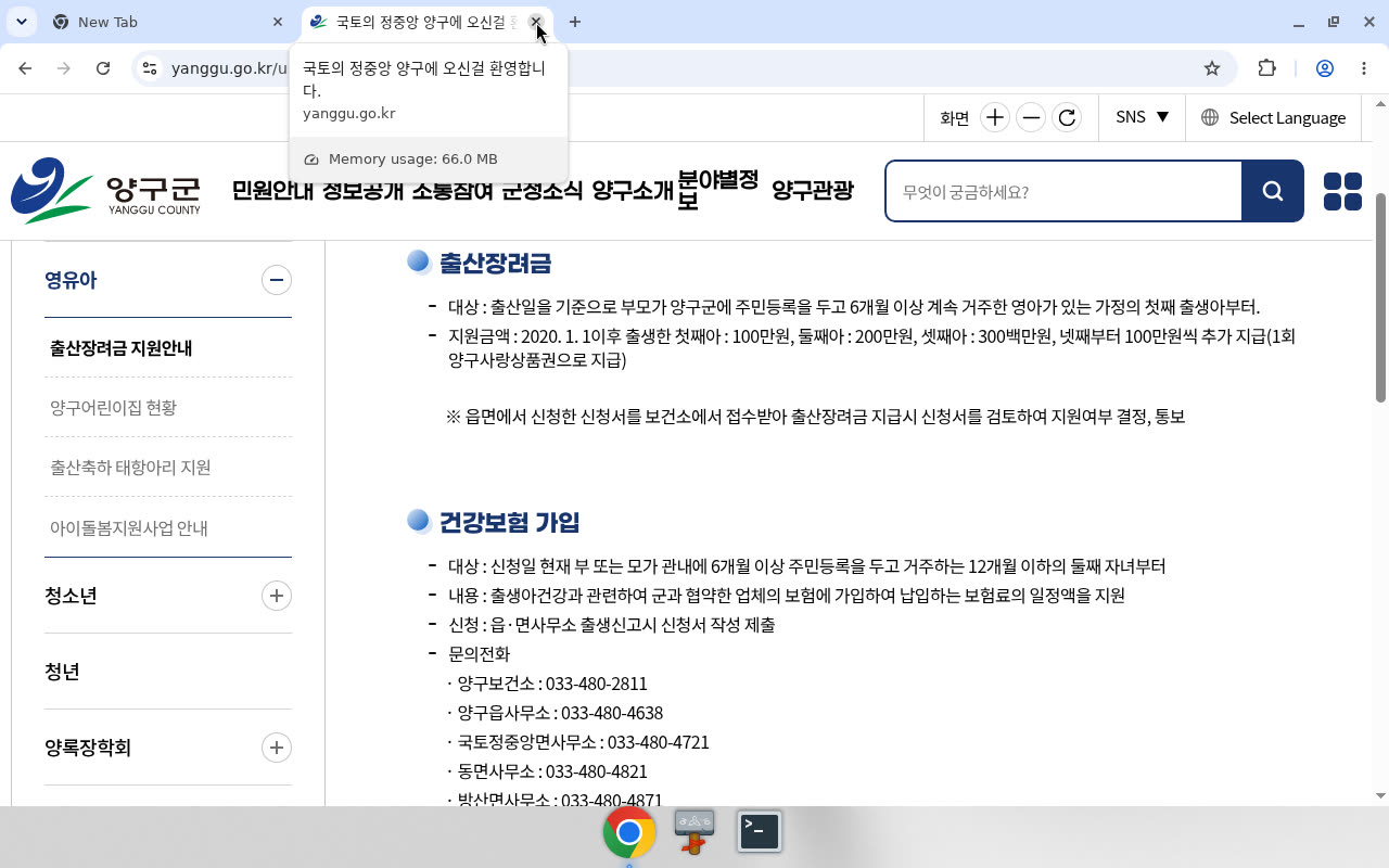 양구군 출산장려금 — full/scroll