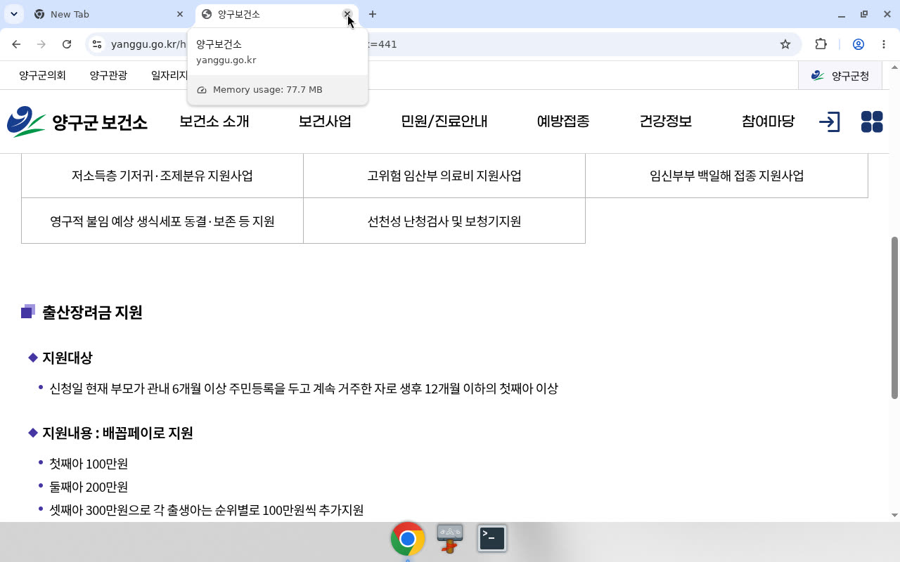 양구보건소 모자보건 — 출산장려금(배꼽페이) 구간(mu_idx=441)