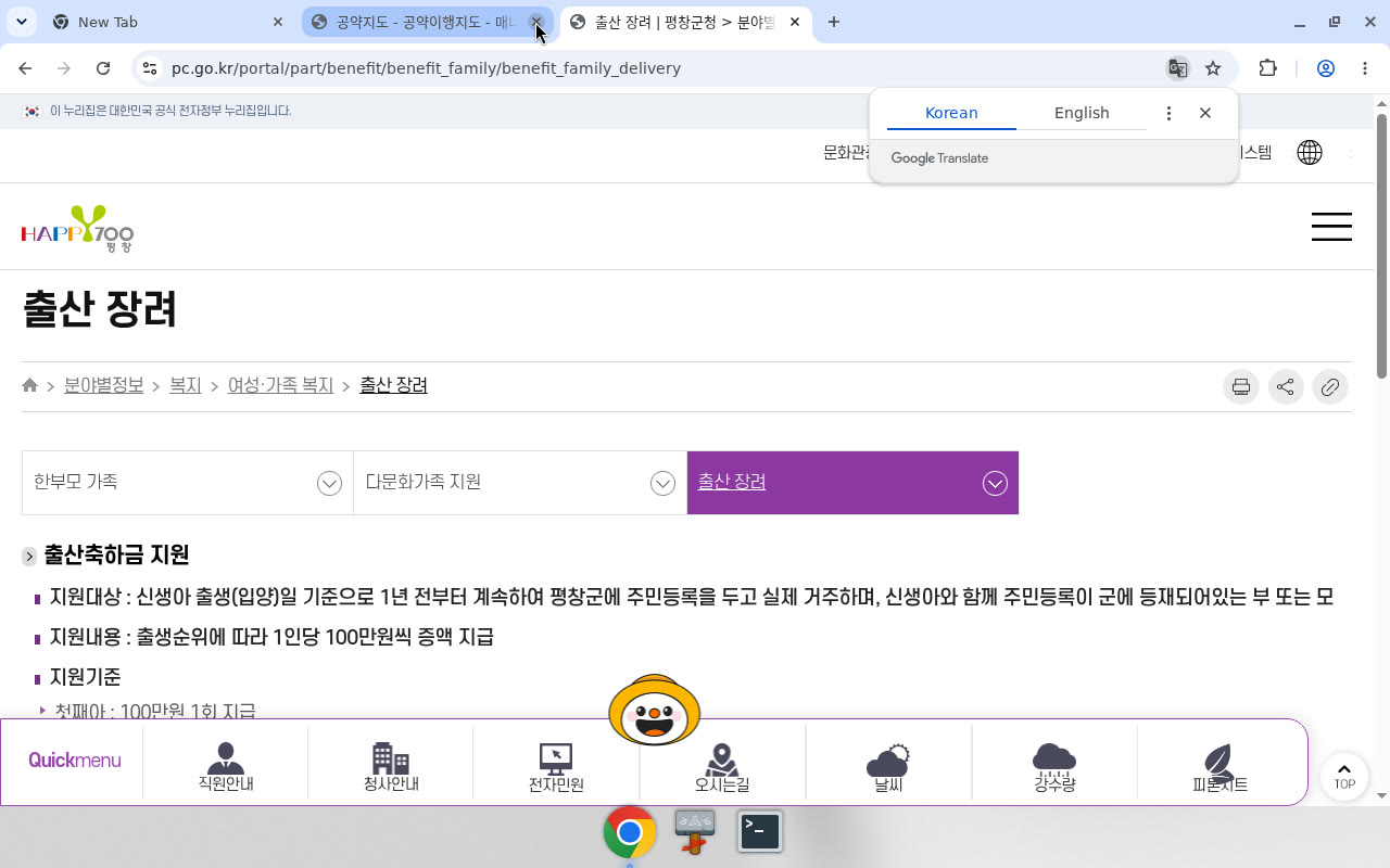 평창군 출산 장려 — 상단 제목/탭·지원대상