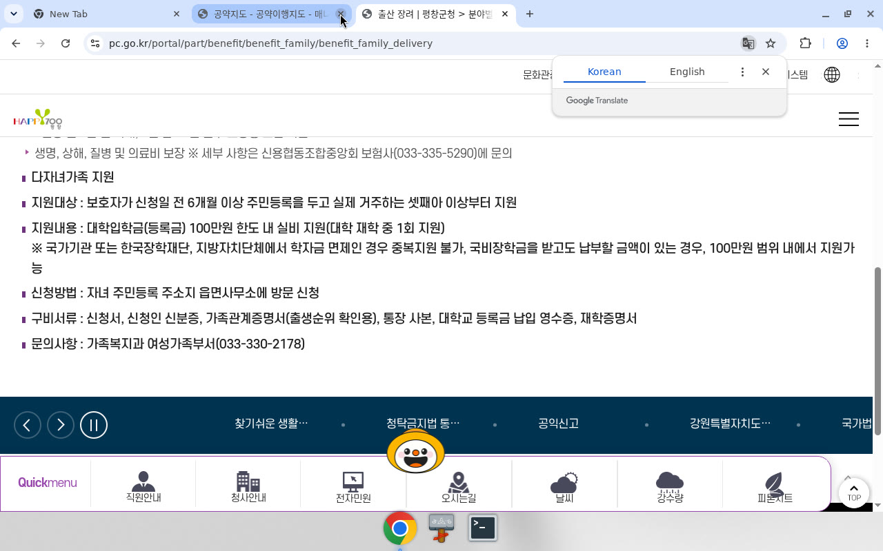 동일 페이지 — 출생아 건강보험료·다자녀가족 지원