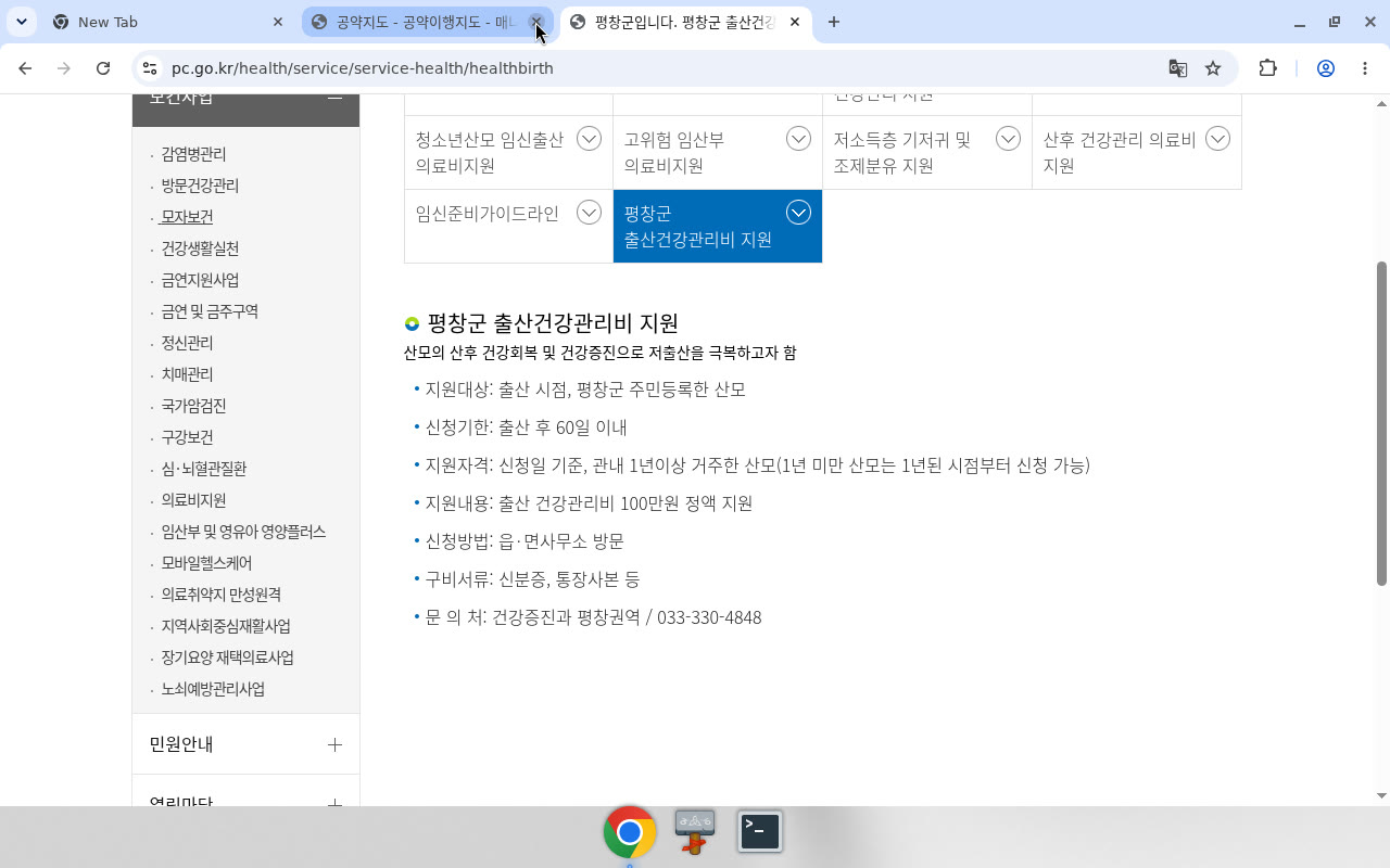별도: 평창군 출산건강관리비 지원(보건의료원) 상단