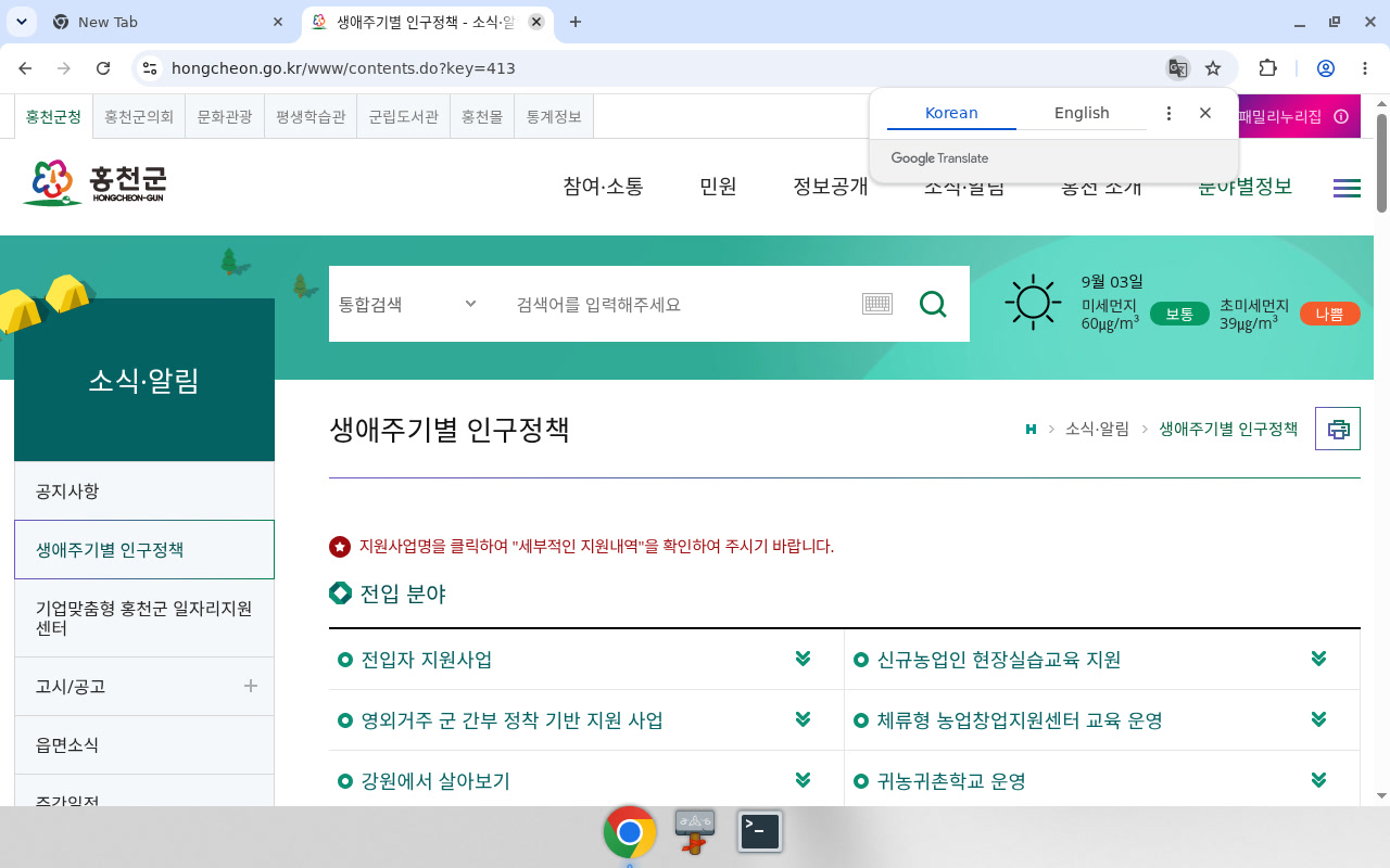 홍천군청 — 제목·breadcrumb